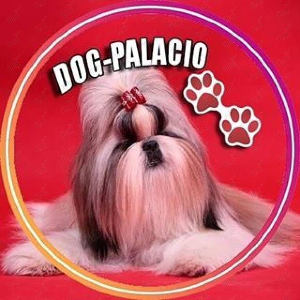 Dog-Palacio, зоосалон: отзывы, адреса, телефоны, цены, фото, карта.  Владивосток, Приморский край