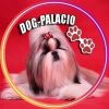 Dog-Palacio
