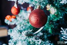 Фотоотчет : Вечеринка "Новый год наоборот". Суббота, 28 августа. Изображение 3