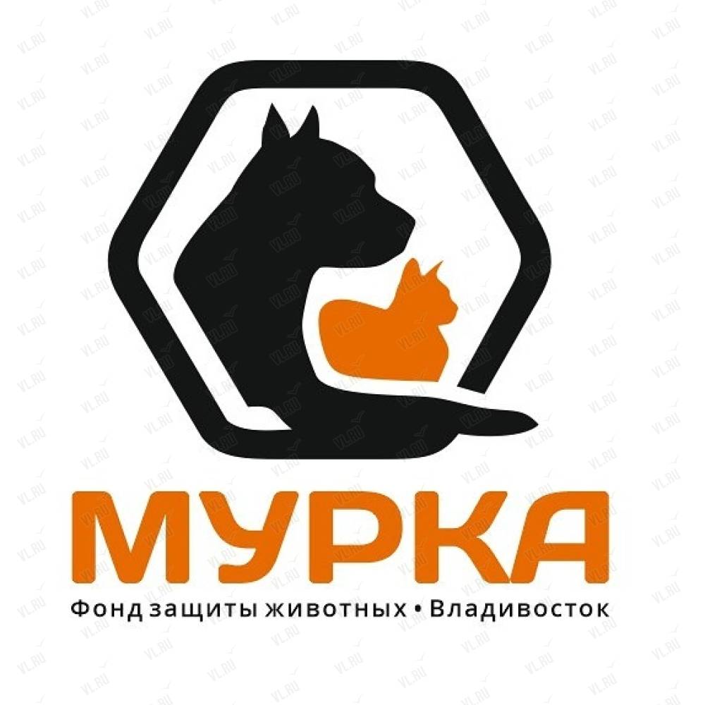 Мурка, общественная организация: отзывы, адреса, телефоны, цены, фото,  карта. Владивосток, Приморский край