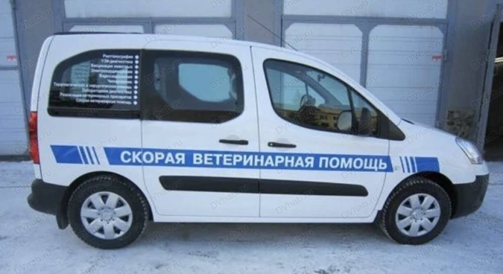 Ветеринарный автомобиль внутри