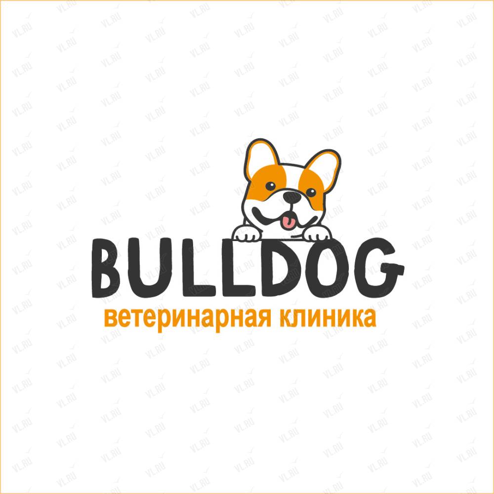 BullDog, ветеринарная клиника: отзывы, адреса, телефоны, цены, фото, карта.  Владивосток, Приморский край