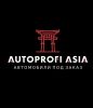 AutoProfi Asia