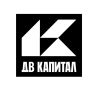 ДВ Капитал