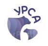 Урса
