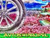 Avtoshinajpvl