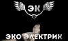 Эко электрик