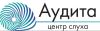Аудита