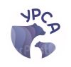 Урса