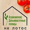 Агрокомплекс дальневосточные теплицы