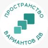 Пространство вариантов ДВ