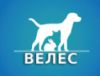 Велес