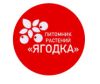 Ягодка