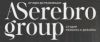 ASerebro group