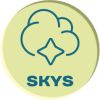 Скайс