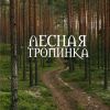 Лесная тропинка