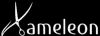 Хамелеон