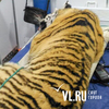Раненной браконьерами тигрице сделали операцию на суставе в реабилитационном центре в Приморье
