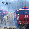 Восемь лесных пожаров потушили в Приморье за прошедшие сутки