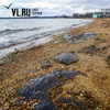Администрация Владивостока попросила Минобороны оперативно очистить побережье Амурского залива от разлива нефтепродуктов