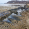 Городские службы очищают пляж в бухте Бражникова — newsvl.ru
