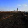 В этом году пожароопасный сезон начался раньше из-за малоснежной зимы — newsvl.ru