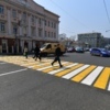 Желто-белые зебры нанесли на Светланской — newsvl.ru