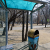 Ночью с пятницы на субботу неизвестные разрушили павильон автобусной остановки «Парк Победы» — newsvl.ru