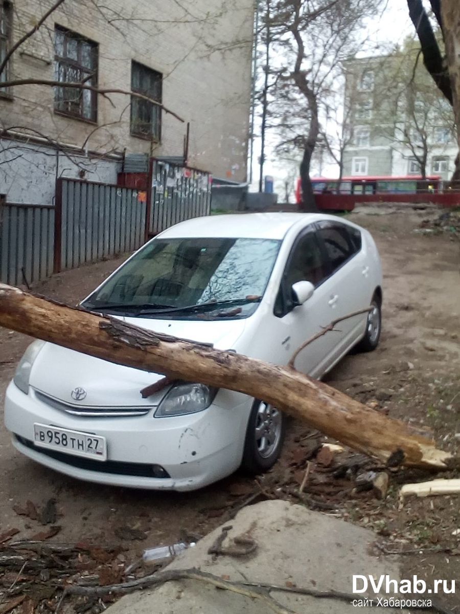 Сорвало крышу и повалило деревья: последствия циклона в Хабаровском крае  (ФОТО) — Новости Хабаровска