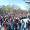 Власти разрешили провести митинг штабу Навального у кинотеатра "Иллюзион" — newsvl.ru