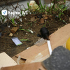 Возле мусорного бака на Зои Космодемьянской, 27а обнаружили учебную гранату и пакет с сигнальными ракетами (ФОТО)