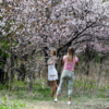 Весенний сад – прекрасный фон для фотосессий — newsvl.ru