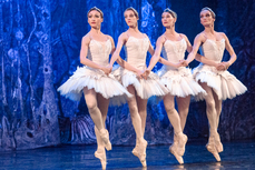 Пропаганда балета: «Лебединое озеро» вновь наводнило Хабаровск 