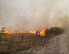 Пал травы едва не стал причиной пожара на НПЗ в Комсомольске