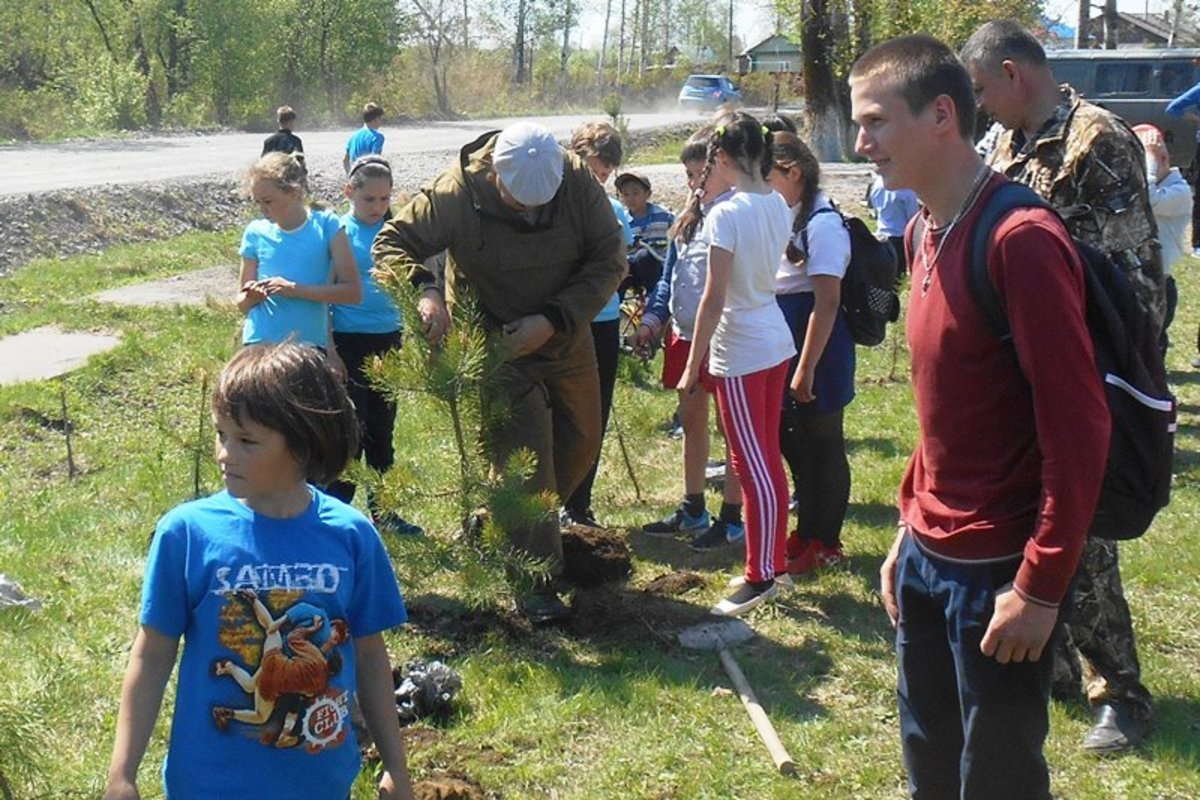 Карта лесничеств пермского края. Нанайское лесничество. Лесничества красноярского края. Краевое лесничество. Лесничества хабаровского края.