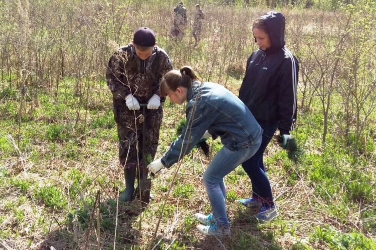 Краевое лесничество. Лесоустройство в зимний период. Краевое лесничество. Краевое лесничество. Краевое лесничество.