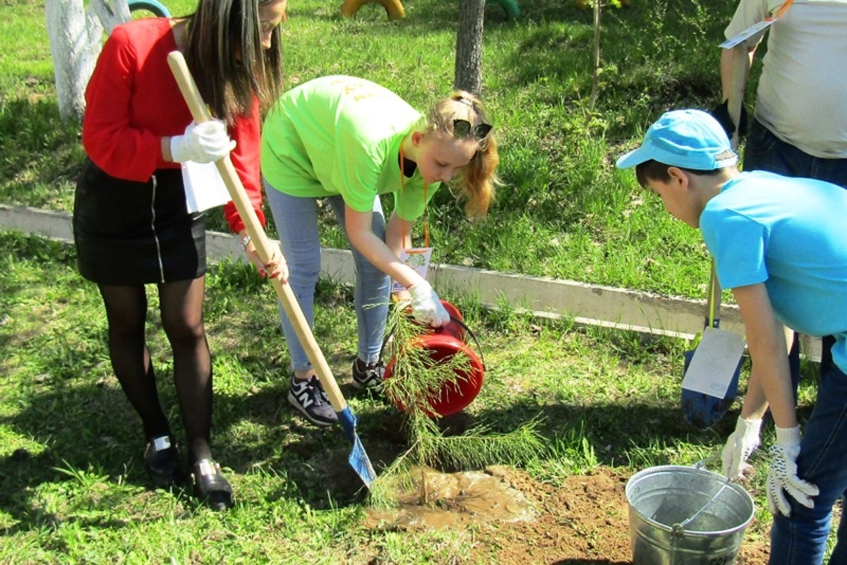 Министерство лесного хозяйства хабаровского края. Территория хабаровского лесничества. Природные зоны пермского края карта. Лесничества красноярского края. Карта лесного хозяйства пермского края.