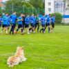 За тренировкой следит пес — житель седанкинской базы — newsvl.ru