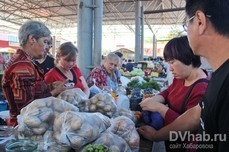 Площади под посадку картофеля увеличены в Хабаровском крае