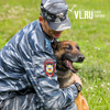 «Кинолог и собака – это пара»: как несут службу хвостатые сотрудники полиции во Владивостоке (ФОТО)