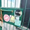Еще два года назад маяк огородили забором, чтобы визитеры перестали уродовать надписями стены сооружения — newsvl.ru