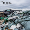 В мэрии Владивостока рассказали, куда выбрасывать строительный мусор