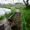 Андрей Тарасенко дал слово, что до 15 августа найдет способ решить вопрос с ремонтом беговой дорожки на озере Чан — newsvl.ru