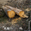 В Приморье выявили контрабанду леса в Китай на 74 миллиона рублей