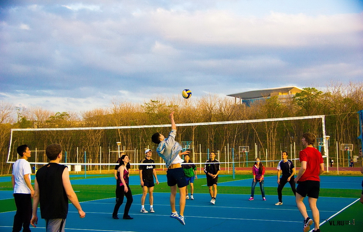 Двфу спортивные площадки. Спортивные залы двфу. Спортивные залы двфу. Двфу спортивные площадки. Спортивный зал двфу.