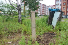 В Биробиджане нашелся хозяин «смертельной зоны» на заброшенной стройке