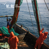 Произвольная трактовка: рыбаки Дальнего Востока жалуются на задержку груза из-за системы «Меркурий»