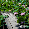 �� ������ �������� �������� ������������� ������