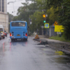 Рельсы демонтированы, дорога сделана — newsvl.ru