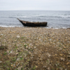 Северокорейскую рыбацкую лодку занесло течением к берегам Русского острова — newsvl.ru